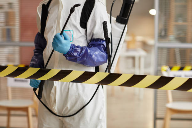 Professional Sewage Cleanup technician working in Pomfret, MD